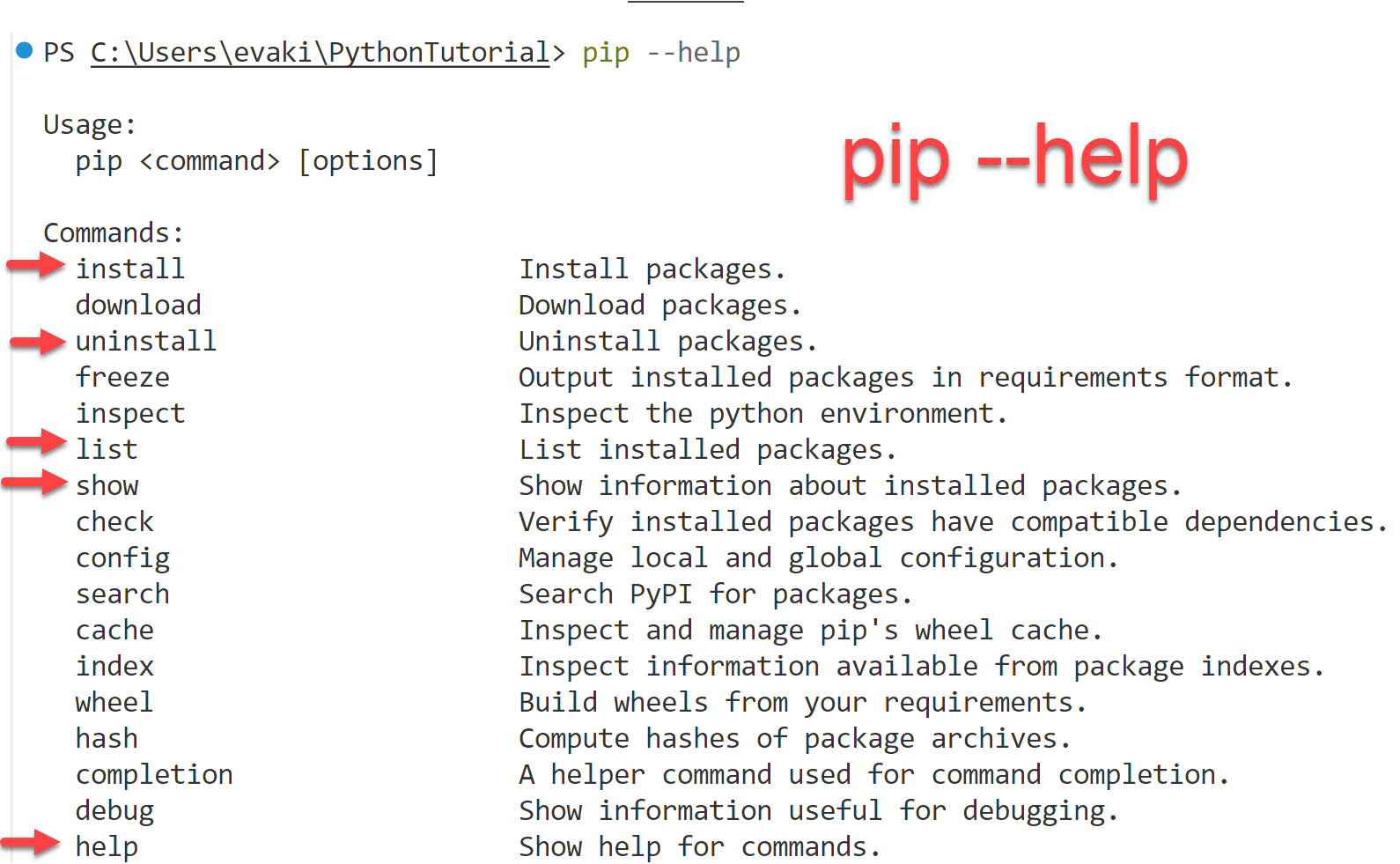 Packet manager pip's help