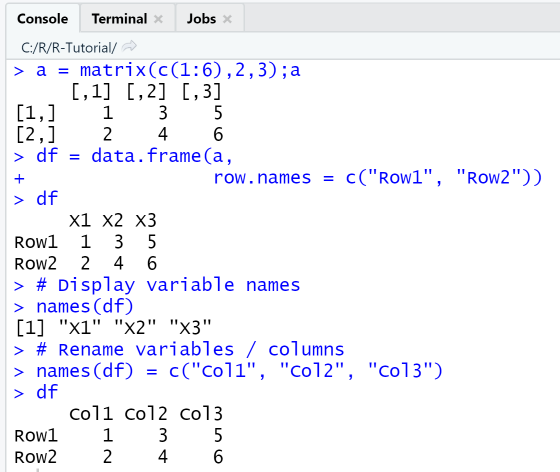 R Data Frame