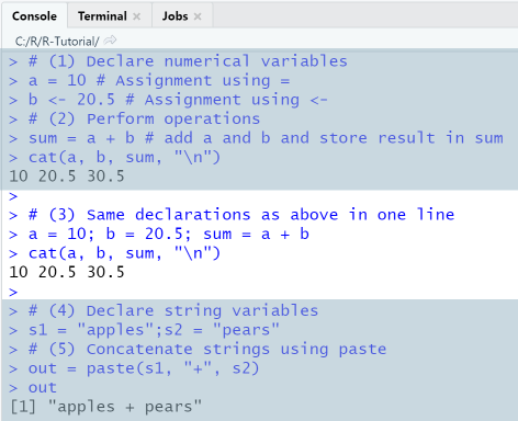 R Variables